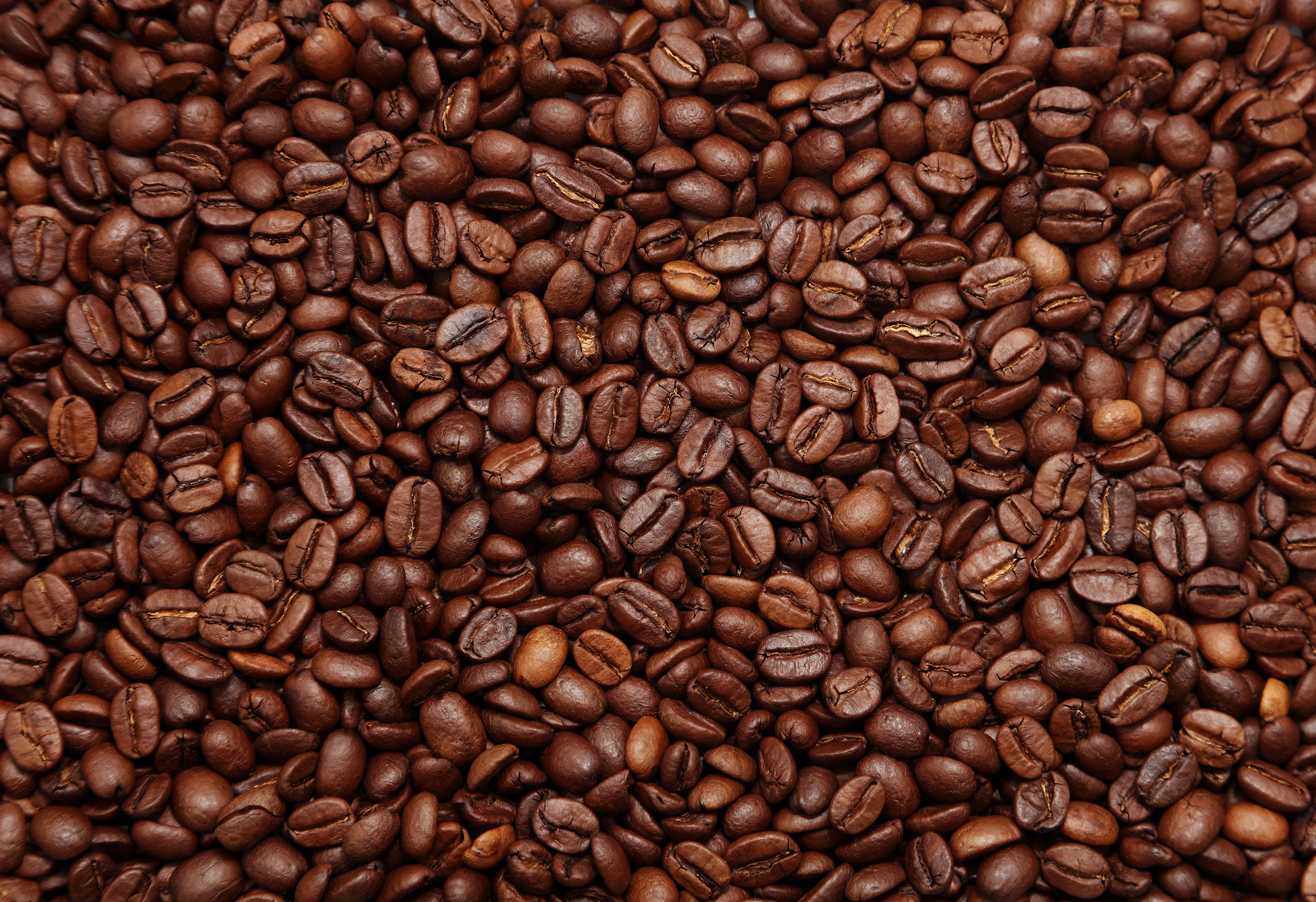 grani Caffè in grani