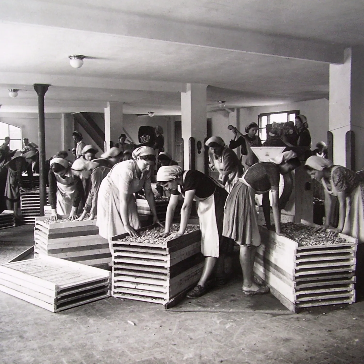 Foto storica delle lavoratrici nello stabilimento Pellini